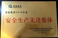 2019年度被鼎能集團(tuán)評為安全生產(chǎn)先進(jìn)集體